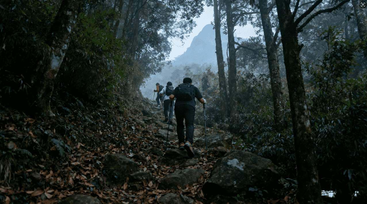轻蜂加速器适用范围涵盖哪些网络场景